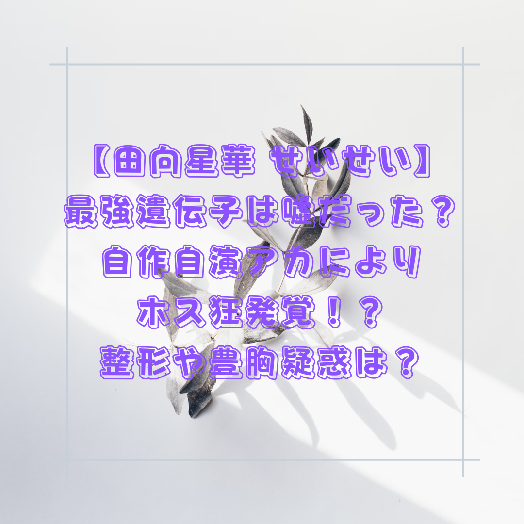 【田向星華 せいせい】最強遺伝子は嘘だった？自作自演アカによりホス狂発覚！？整形や豊胸疑惑は？