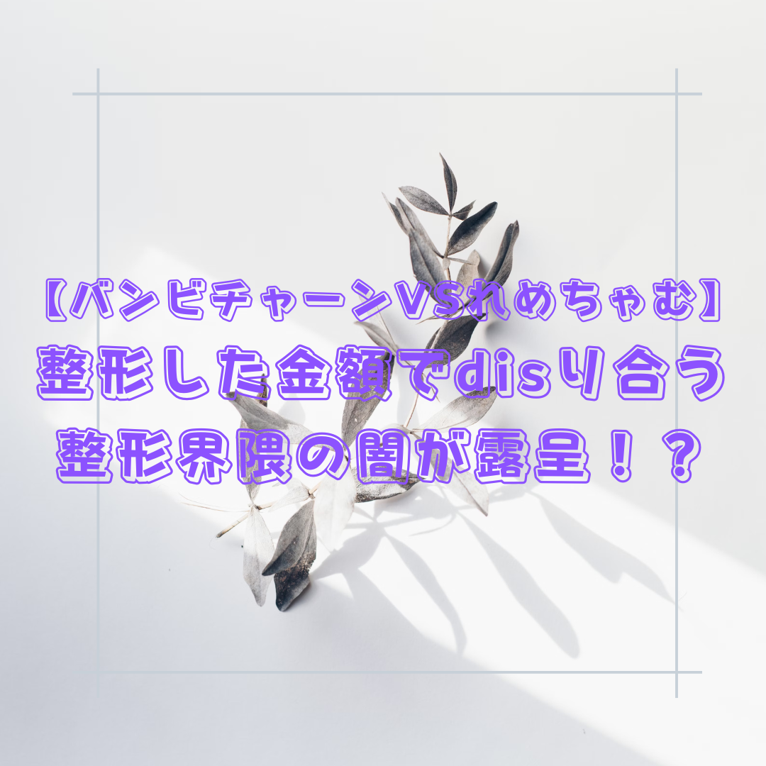 【バンビチャーンVSれめちゃむ】整形した金額でdisり合う整形界隈の闇が露呈！？